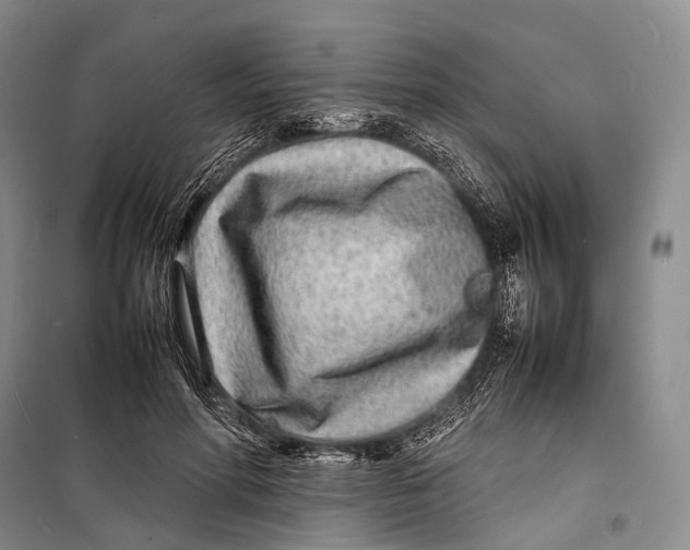 X0000098220598200805151319