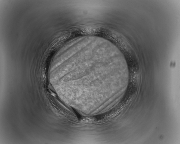 X0000098220599200805151319