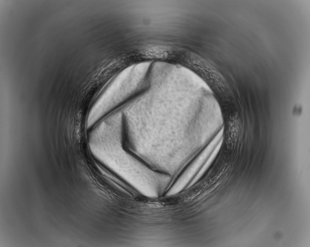 X0000098220600200805151319