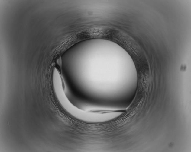 X0000098220601200805151319