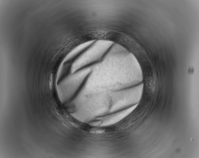 X0000098220602200805151319