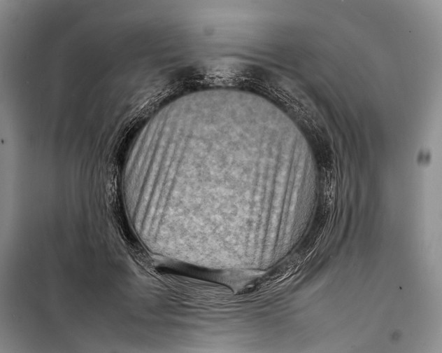 X0000098220603200805151319