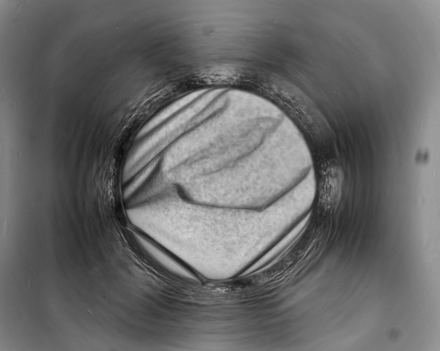 X0000098220604200805151319