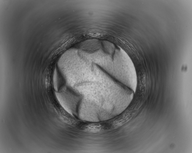 X0000098220606200805151319