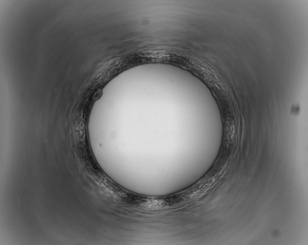 X0000098220609200805151319