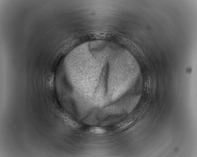 X0000098220610200805151319