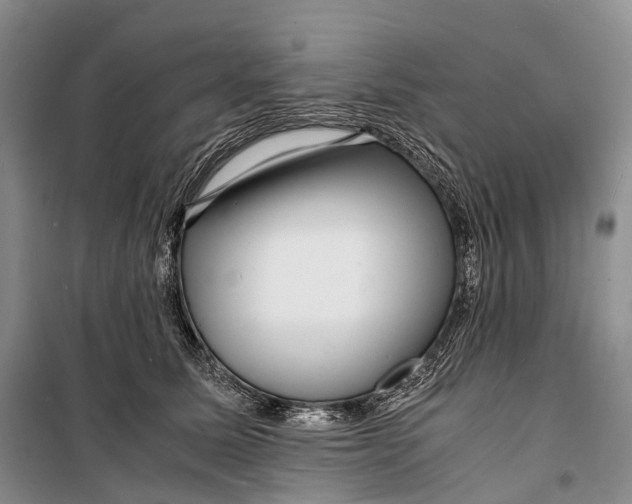 X0000098220611200805151319