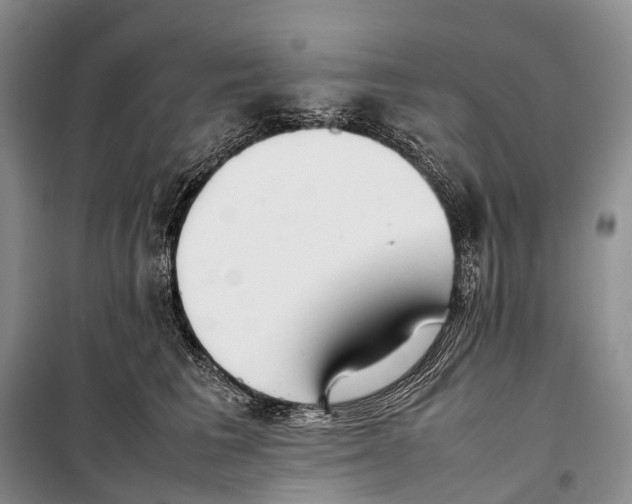 X0000098220613200805151319