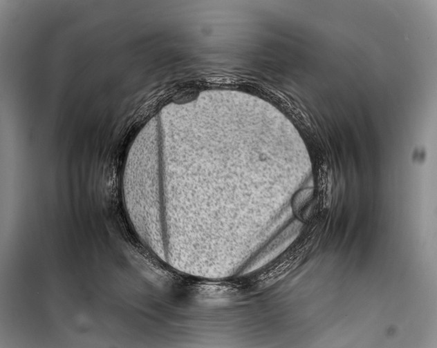 X0000098220614200805151319