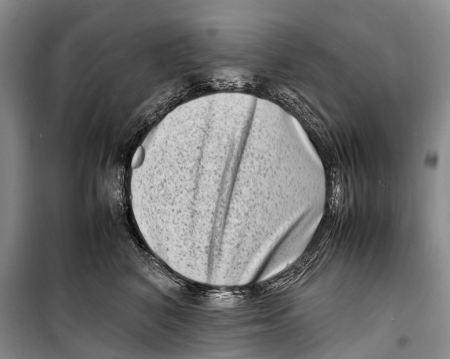 X0000098220616200805151319