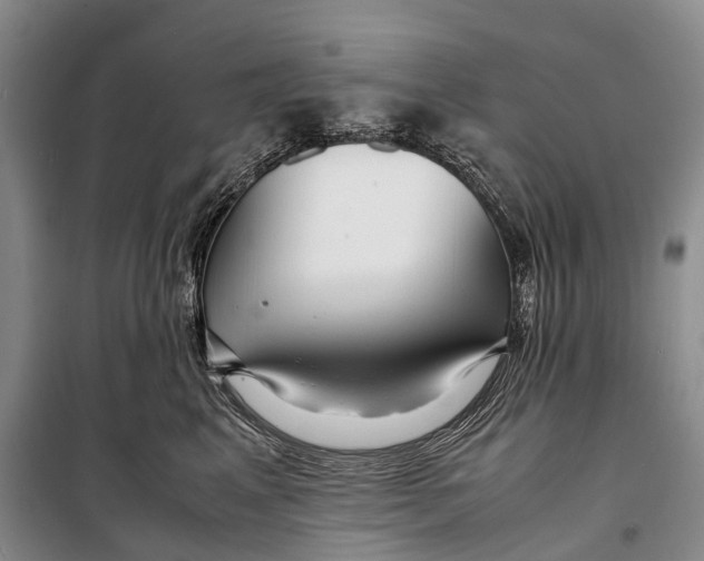 X0000098220617200805151319