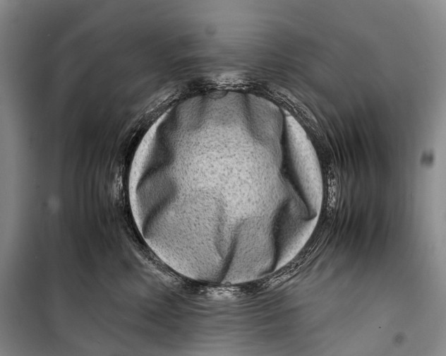 X0000098220618200805151319