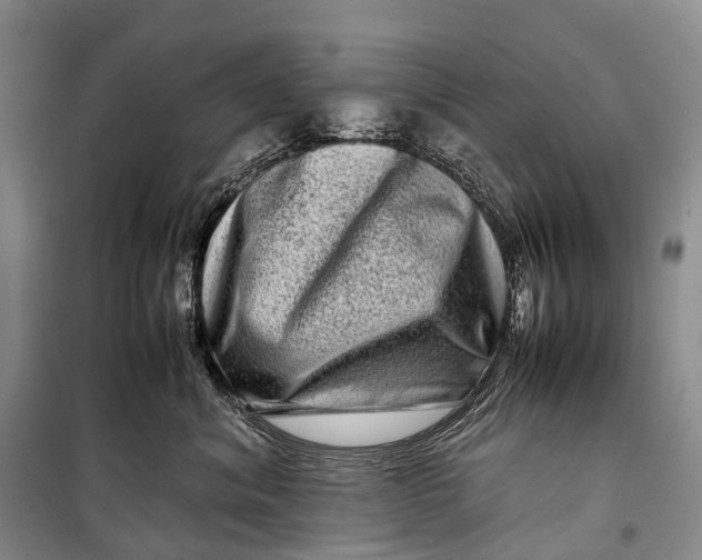 X0000098220620200805151319