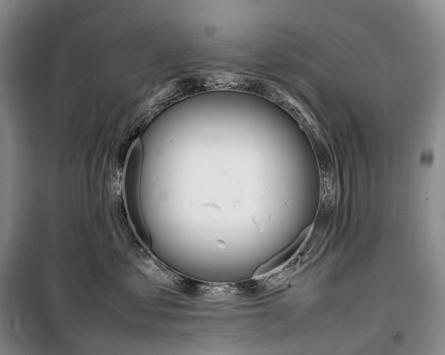 X0000098220621200805151319