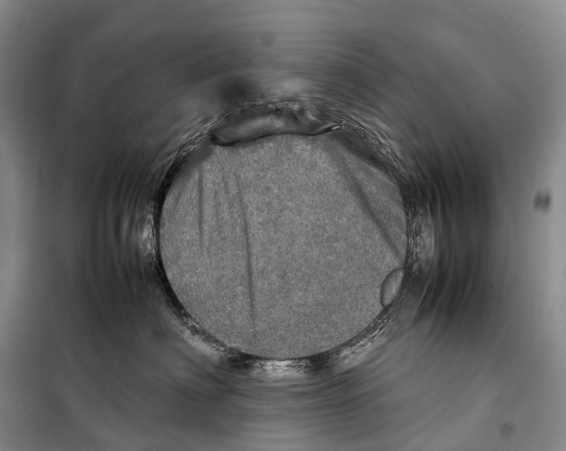 X0000098220622200805151319