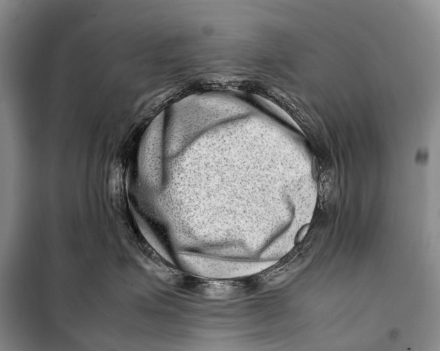 X0000098220623200805151319