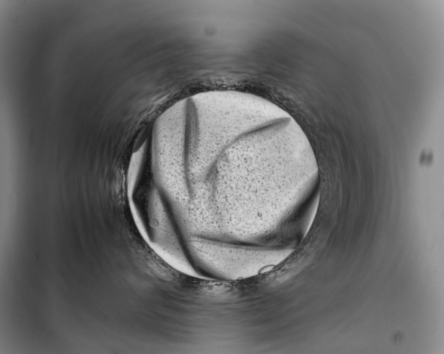 X0000098220624200805151319