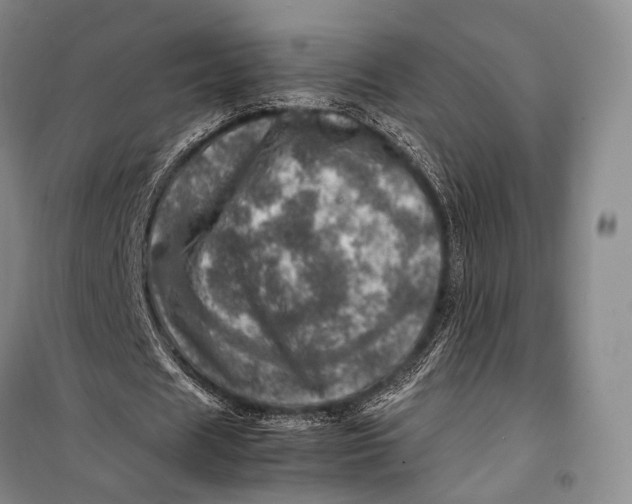 X0000098220625200805151318