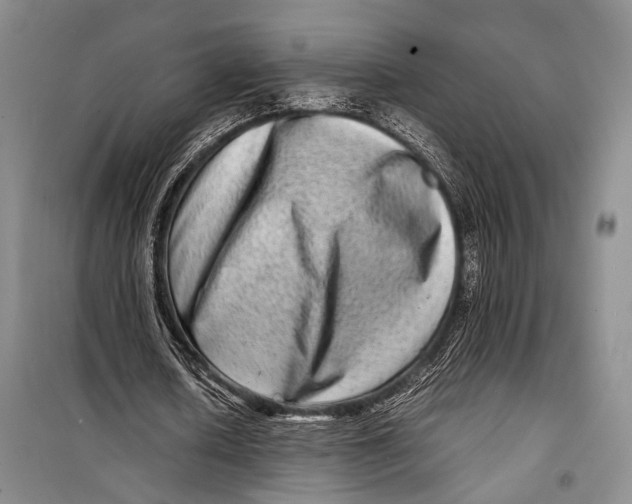 X0000098220626200805151318