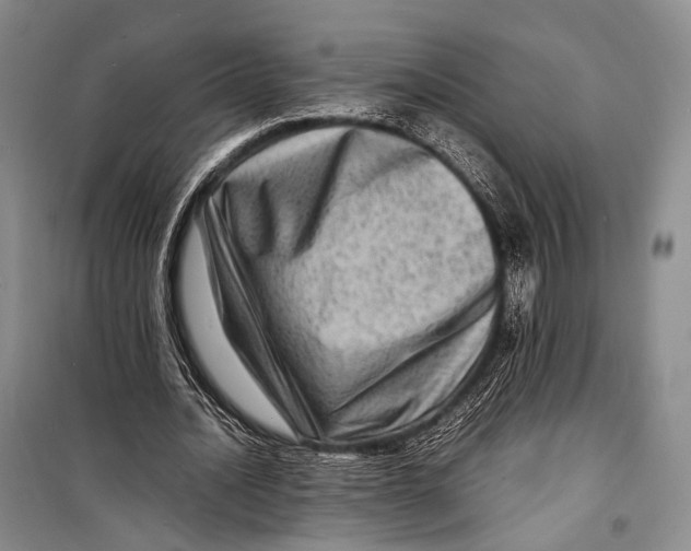 X0000098220628200805151318