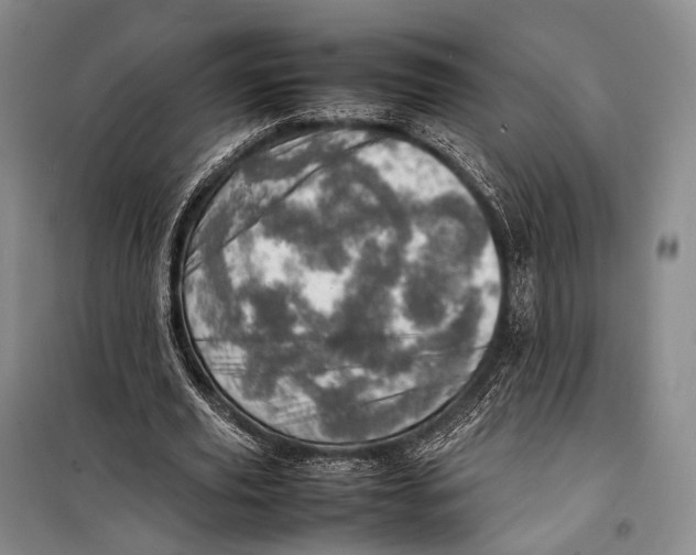 X0000098220629200805151318