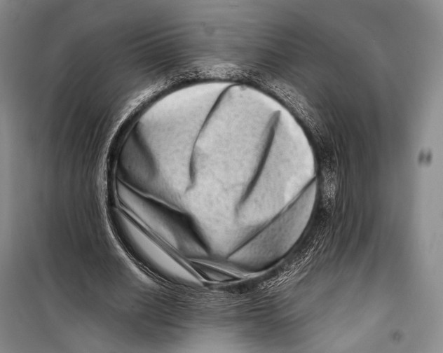 X0000098220630200805151318