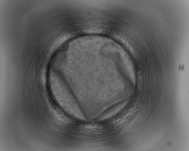 X0000098220631200805151318