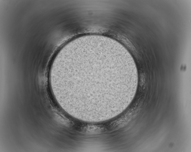 X0000098220632200805151318