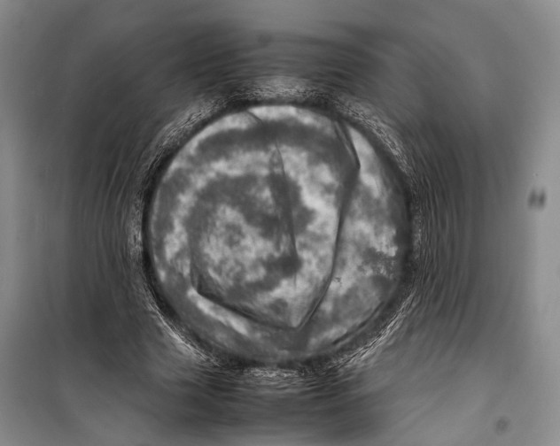 X0000098220633200805151318