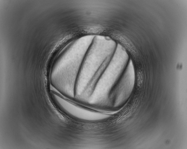 X0000098220634200805151318