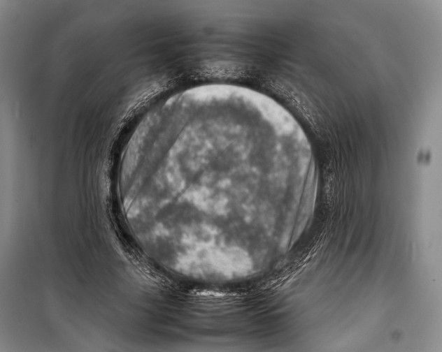 X0000098220635200805151318