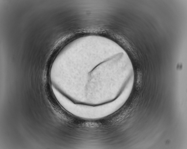 X0000098220636200805151318