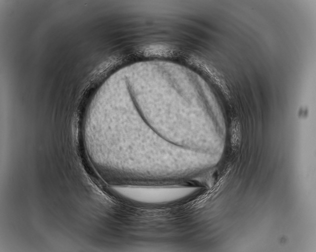 X0000098220637200805151318