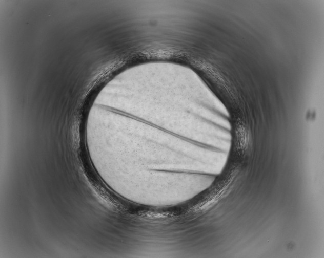 X0000098220638200805151318