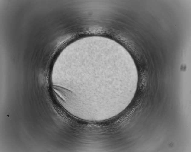 X0000098220640200805151318