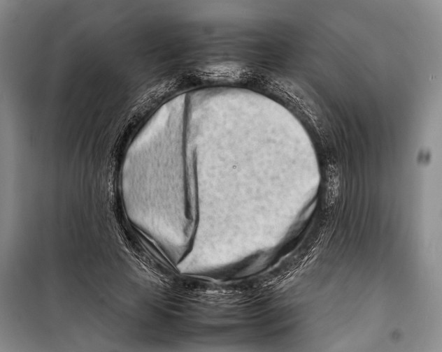 X0000098220641200805151318