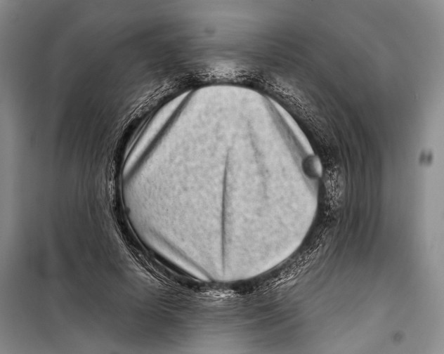 X0000098220642200805151318