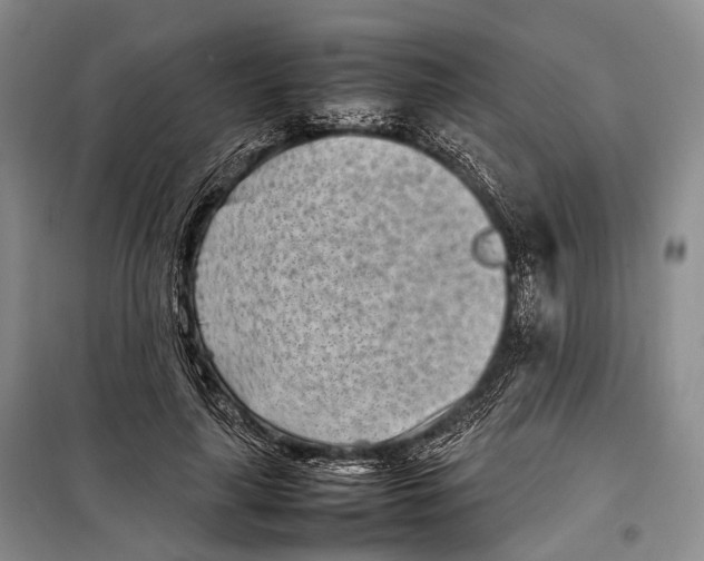 X0000098220643200805151318