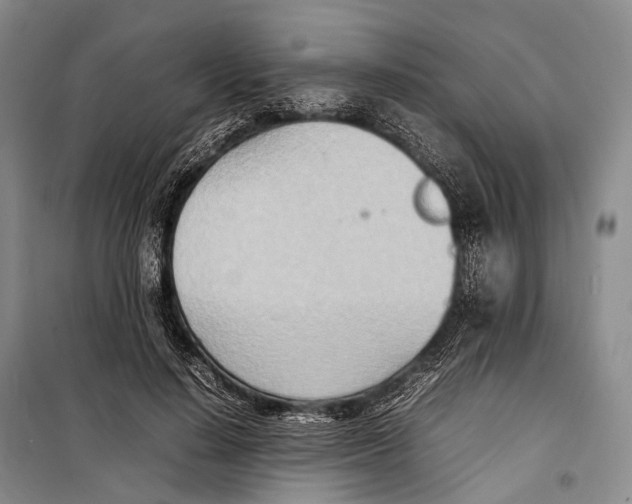 X0000098220644200805151318