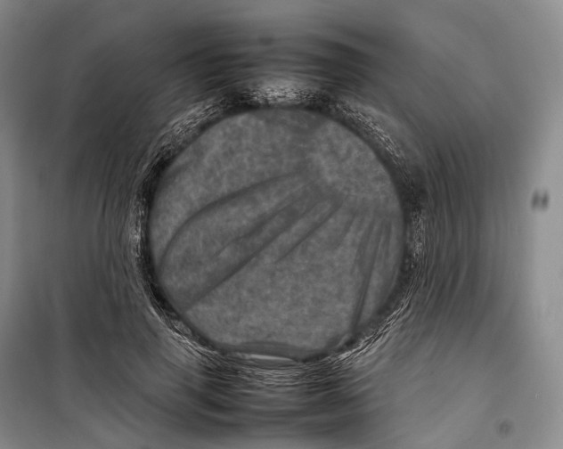 X0000098220645200805151318