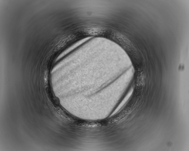 X0000098220646200805151318