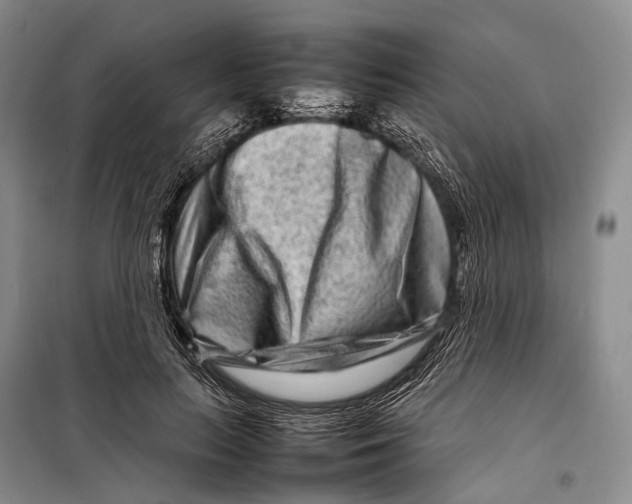 X0000098220647200805151318