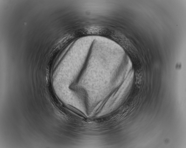 X0000098220648200805151318