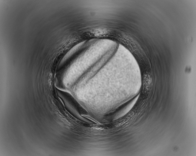 X0000098220650200805151318