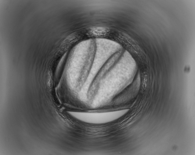 X0000098220651200805151318