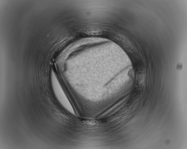 X0000098220652200805151318