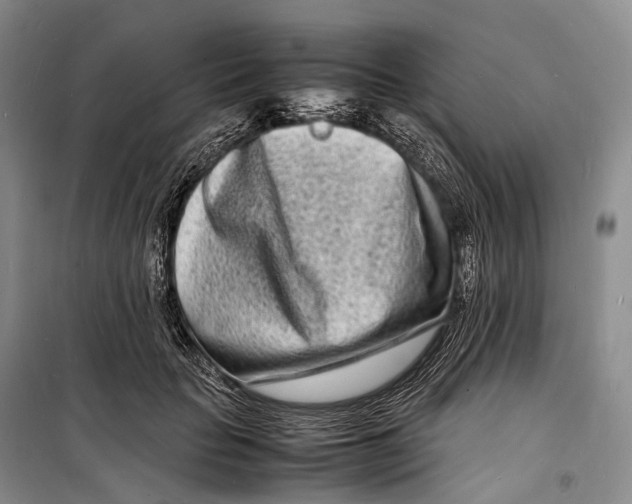 X0000098220653200805151318