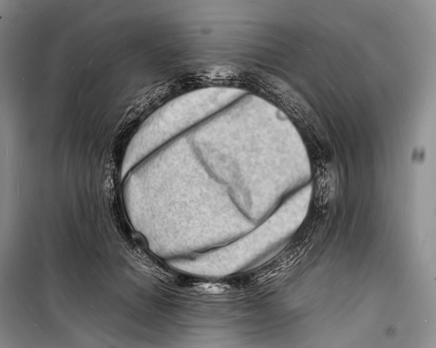 X0000098220654200805151318