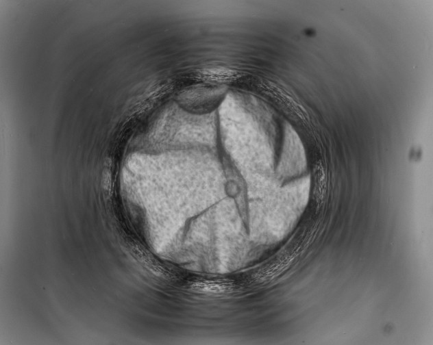 X0000098220655200805151318