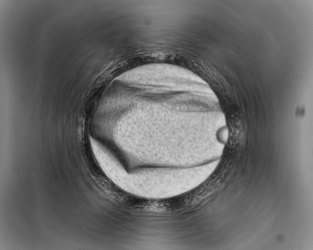 X0000098220656200805151318